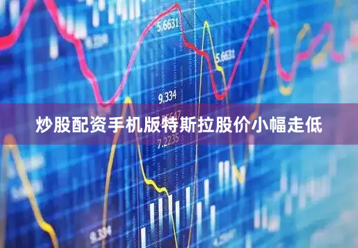 炒股配资手机版特斯拉股价小幅走低