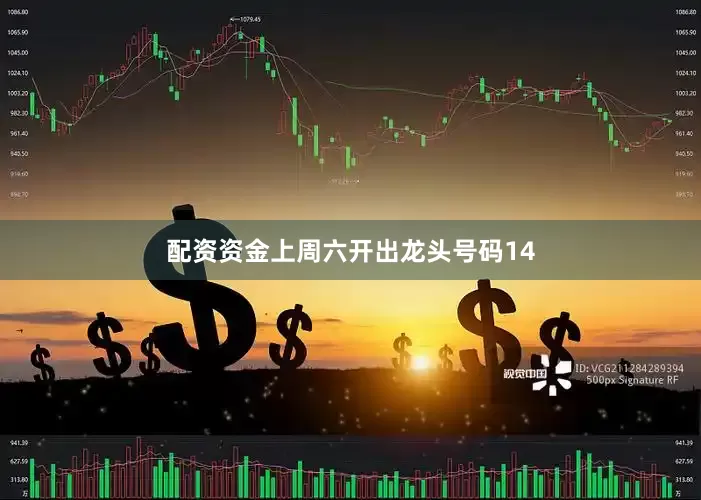 配资资金上周六开出龙头号码14