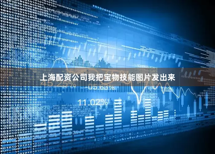 上海配资公司我把宝物技能图片发出来