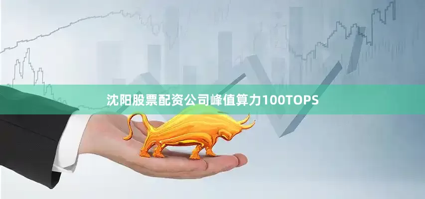 沈阳股票配资公司峰值算力100TOPS