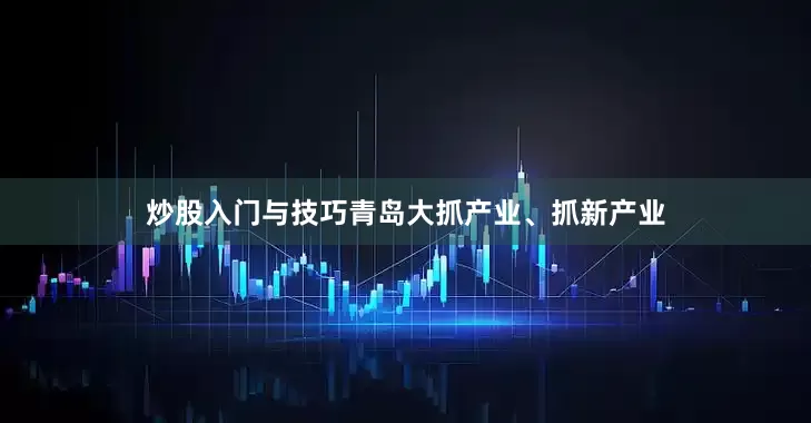 炒股入门与技巧青岛大抓产业、抓新产业