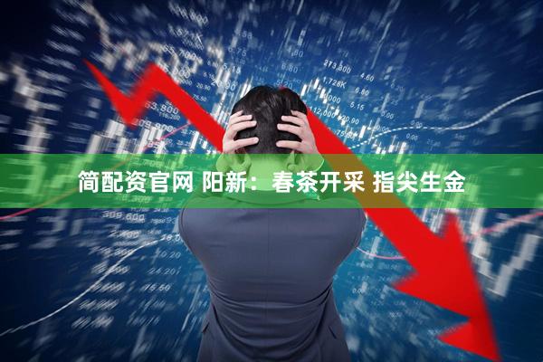 简配资官网 阳新：春茶开采 指尖生金